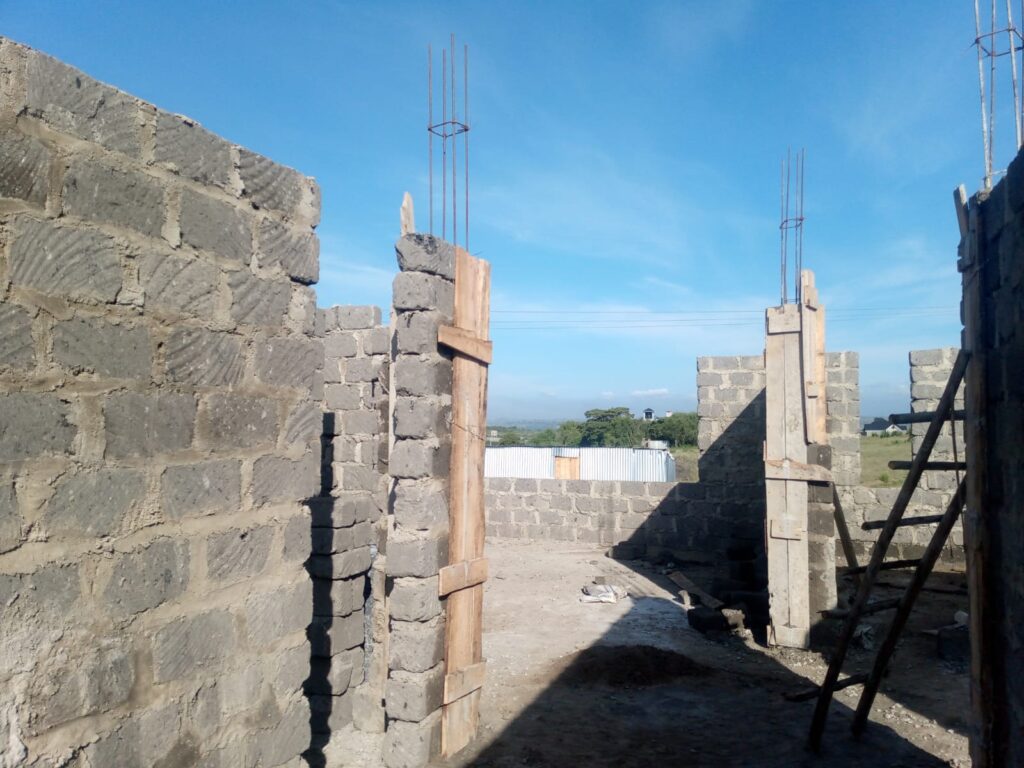 Walling stage Diaspora build 